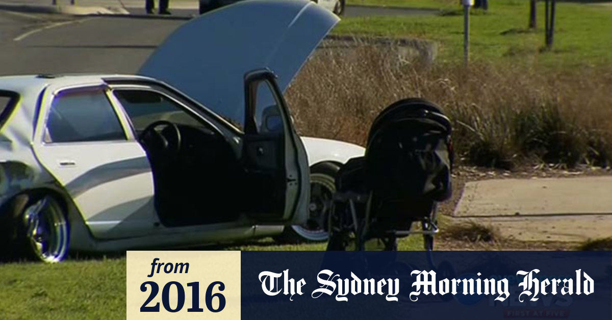 Video Police hunt for hitrun drivers